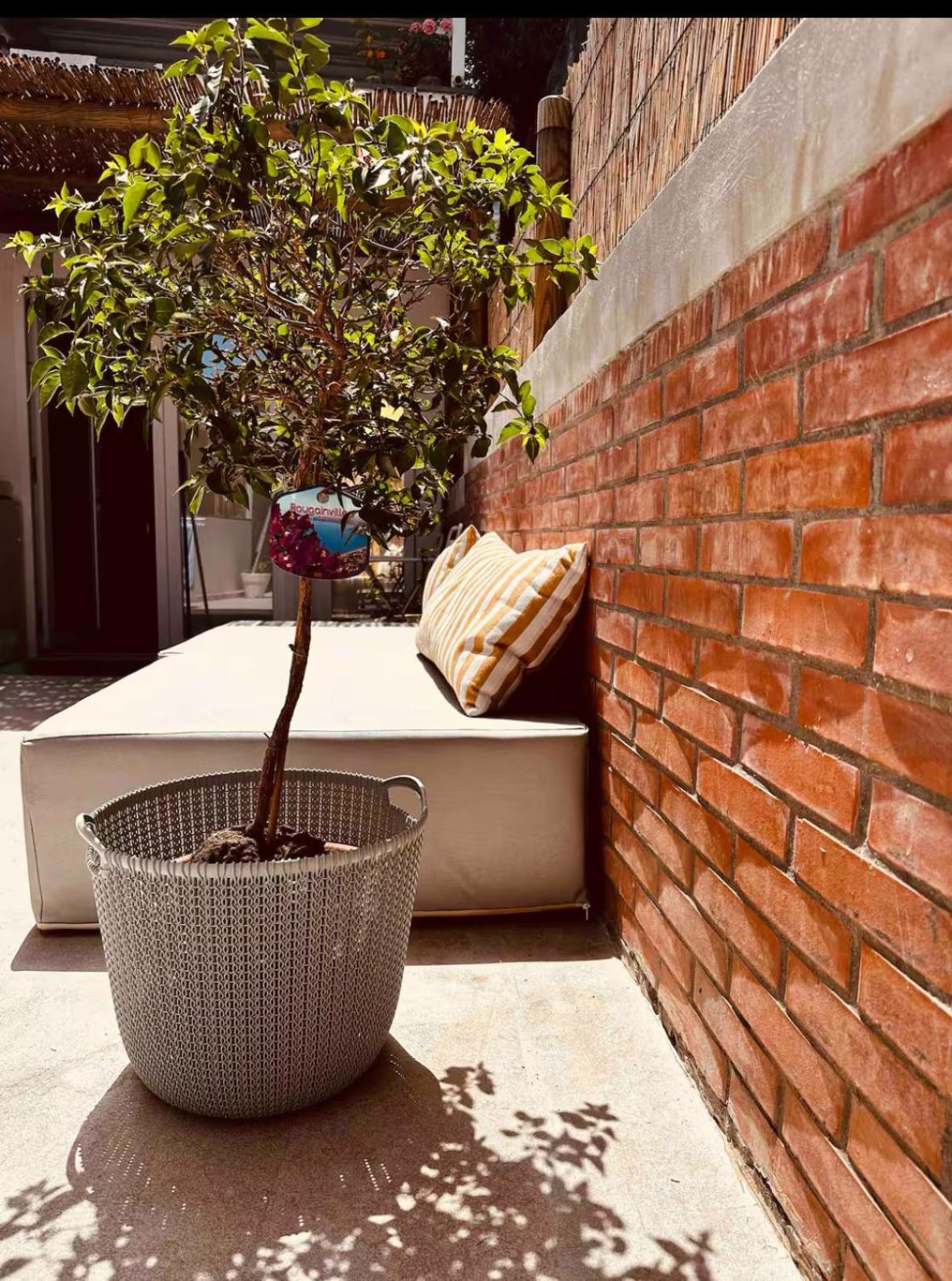 Casa Mores Capri